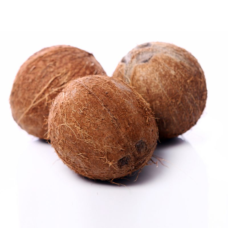 Coconut 2